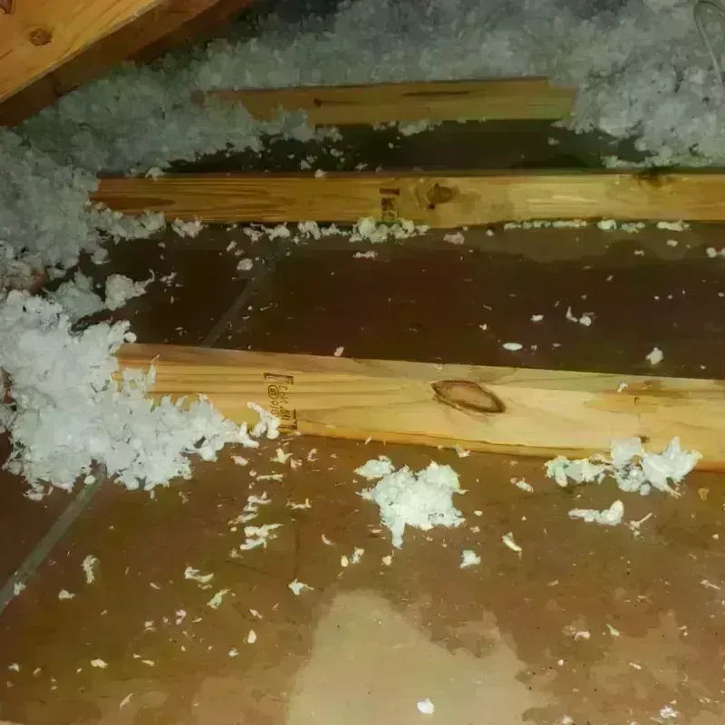 Attic Water Damage in Melrose Park, NY